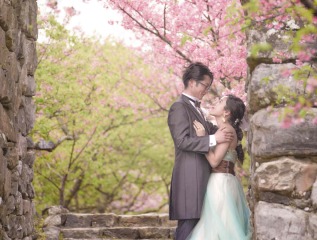年明けの沖縄旅行は桜を楽しもう！
