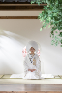 今しかかぶれない&hellip;だからこそ残したい綿帽子姿