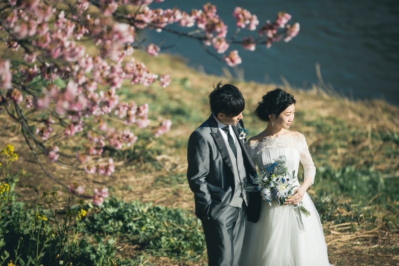 sakura.saku.河津に春爛漫！