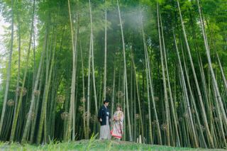 竹林がキレイな若竹の杜