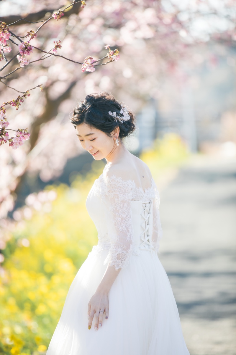 sakura.saku.河津に春爛漫！