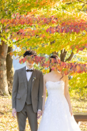 【お急ぎの方へ!】11月の空き状況!