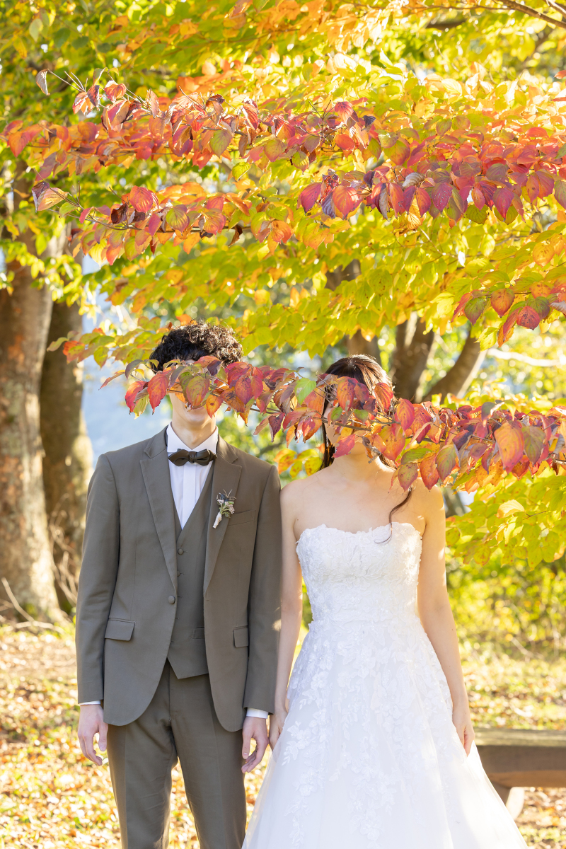 【お急ぎの方へ!】11月の空き状況!