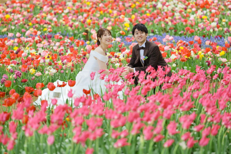 ひたち海浜公園