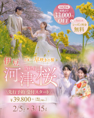 河津桜ロケーション受付始まってます!!