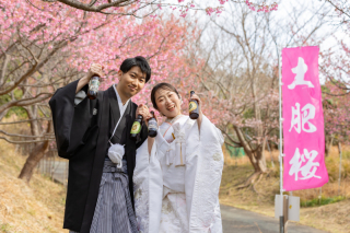 河津桜ロケーション