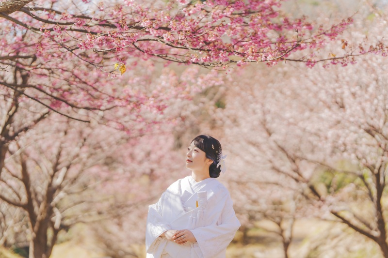 【河津桜】和装ロケーション