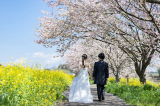 撮れたて！桜ロケーション！