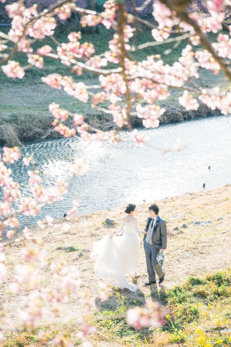 sakura.saku.河津に春爛漫！