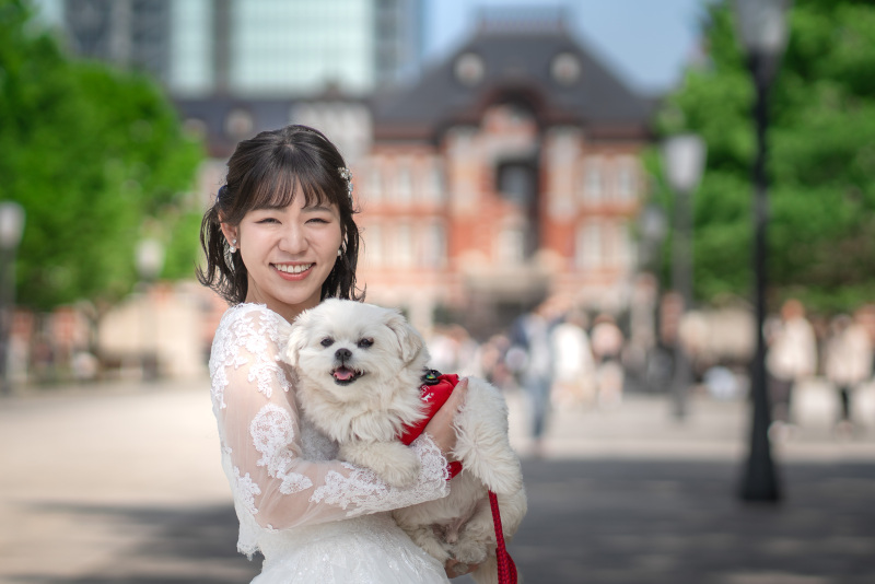 【春のやさしい光の中で】フォトウェディングを選ぶ理由