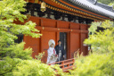 2026年4月1日グランドオープン