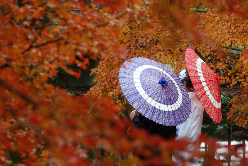 京都のフォトウエディング撮影スポットとおすすめプラン
