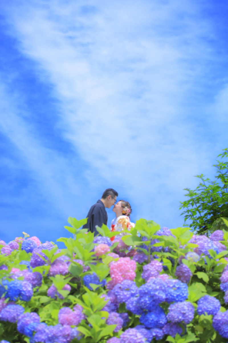 梅雨の時期だってこんなに素敵♡／「紫陽花」・「雨」フォト大