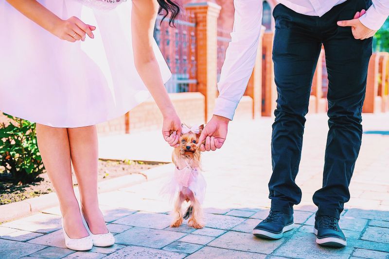 「#キミも家族」インスタグラムキャンペーン受賞作品発表!