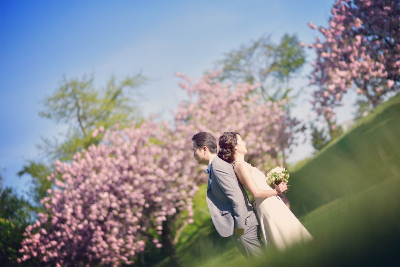 2019年ゴールデンウィークにまだ間に合う！サクラ満開の北海道でロケフォトしよう！