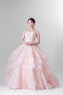 Pinkgarbera ﾋﾟﾝｸｶﾞｰﾍﾞﾗ