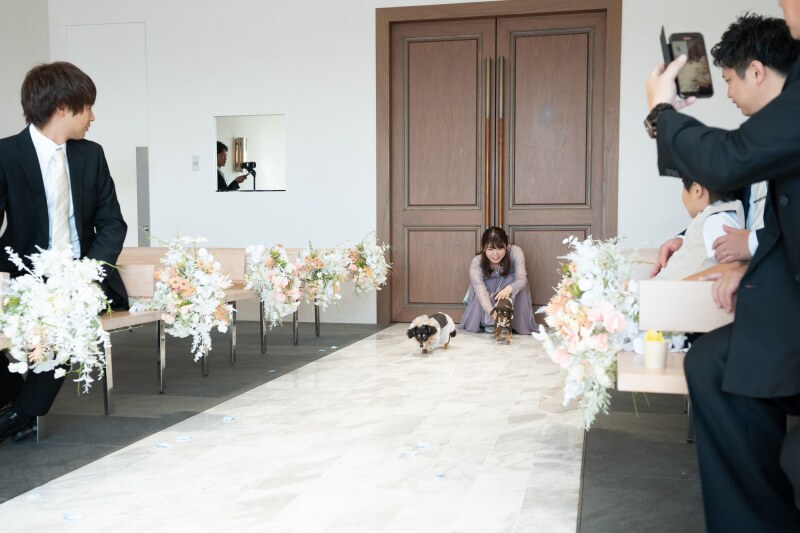 わんちゃん走る、、、!!