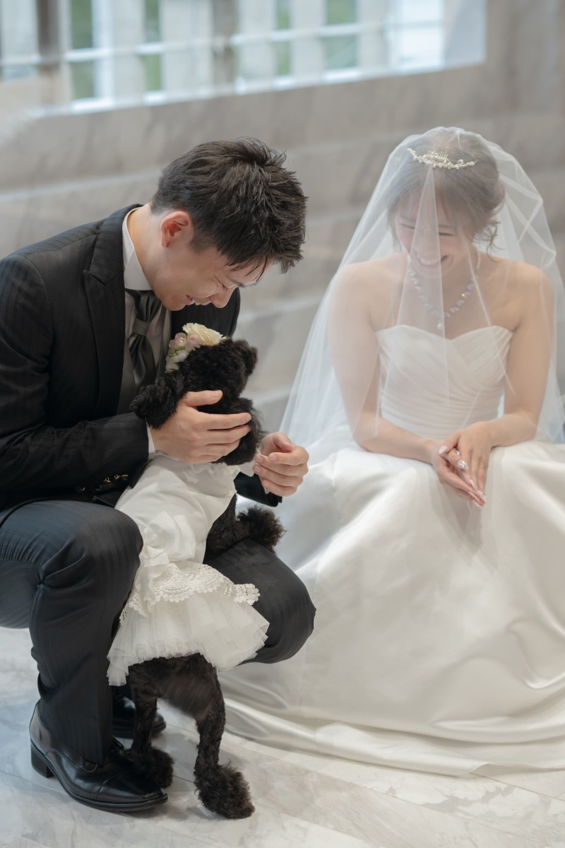じゃれているお写真も