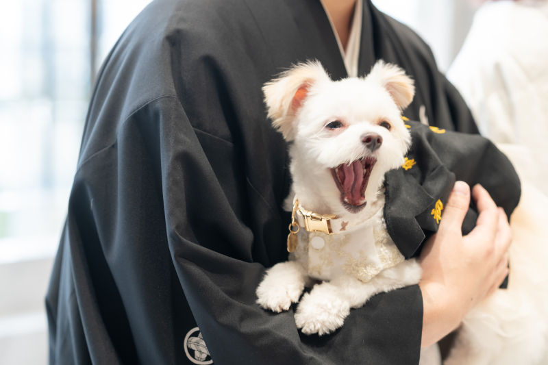 お疲れモード★