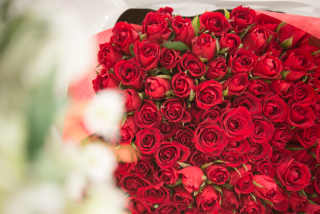 サプライズフォトウェディング　　　