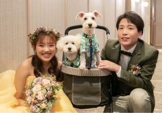 小さな結婚式　お台場店