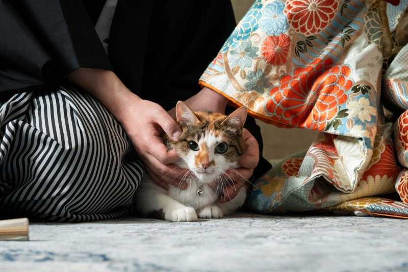 Point1 多彩な撮影シーン