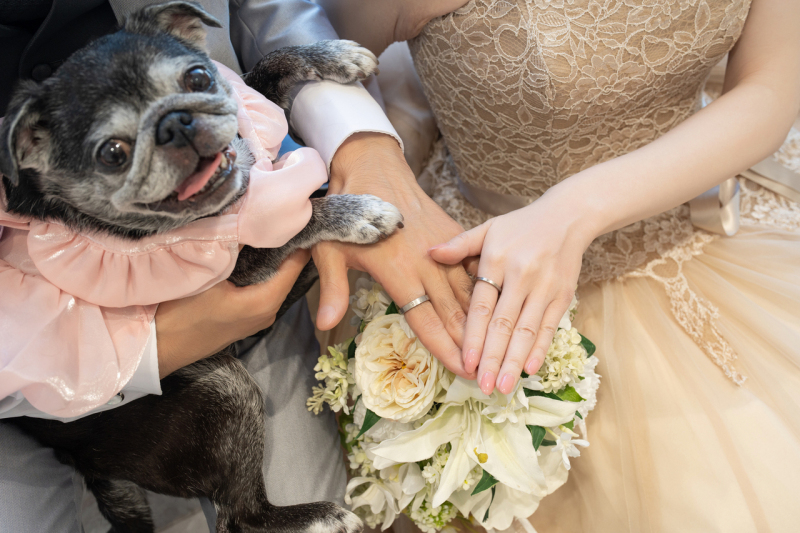 Point1 多彩な撮影シーン