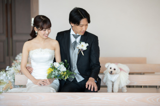 小さな結婚式　お台場店_ペットフォト