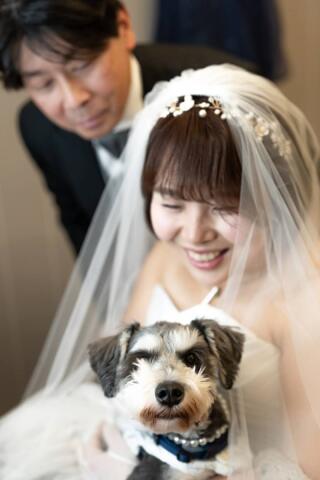 小さな結婚式　お台場店_ペットフォト
