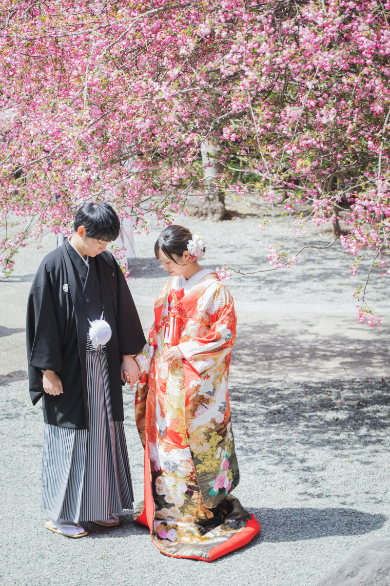 桜の下