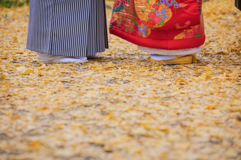 銀杏の葉の絨毯