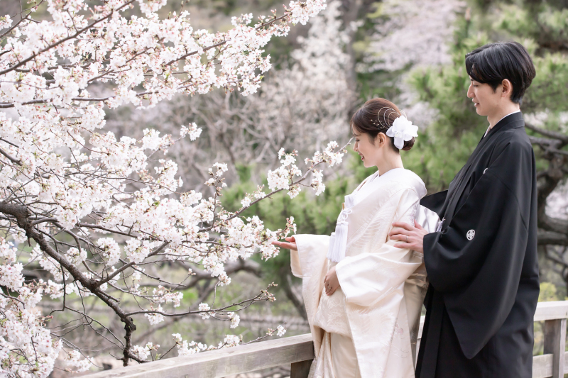 【桜】三渓園プラン＊