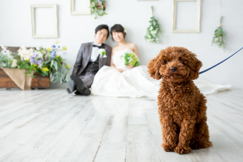 ワンちゃんと一緒に♪