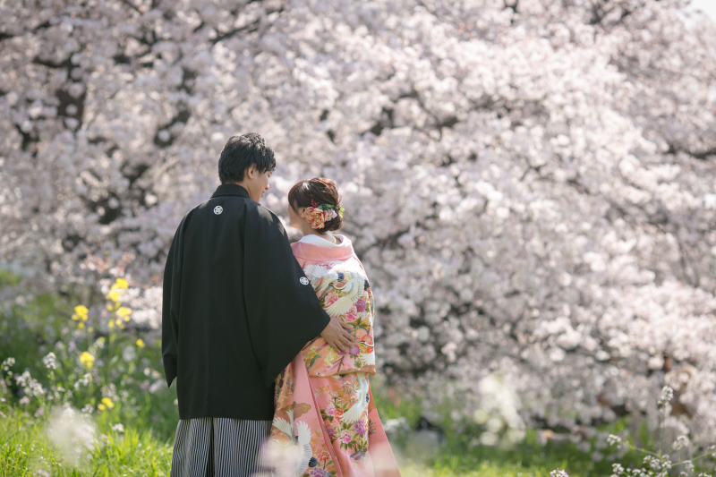 桜フォト！