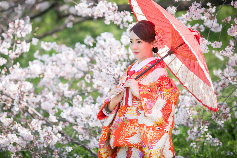 桜と着物