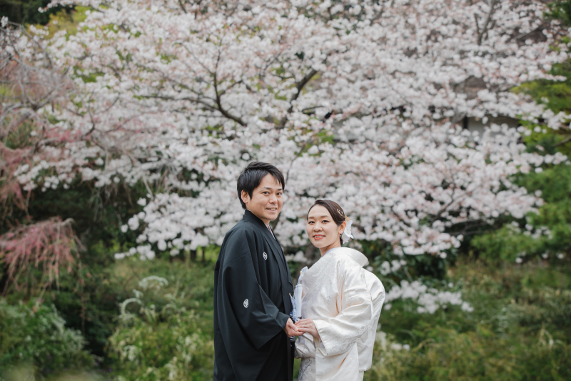 満開の桜
