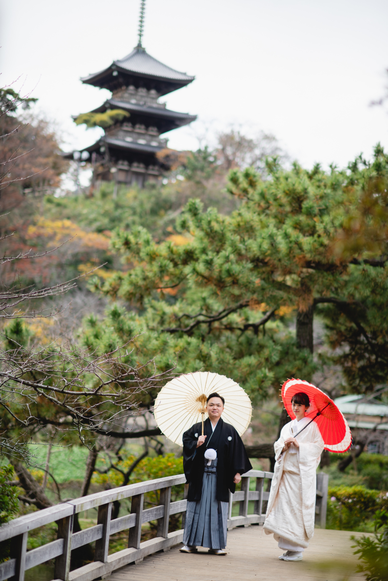 日本庭園に番傘