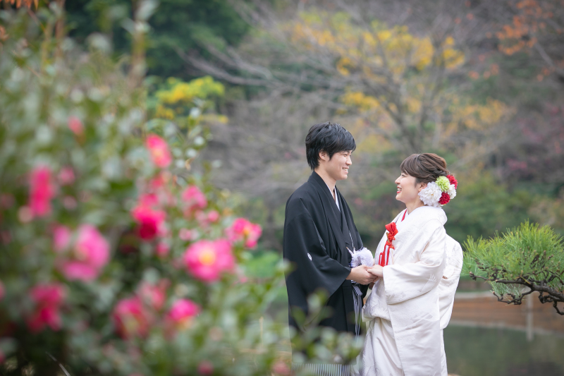 椿咲いてました♪