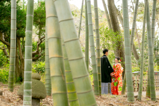 開放感ある三渓園にて