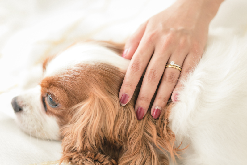 リングがきらり・・・☆