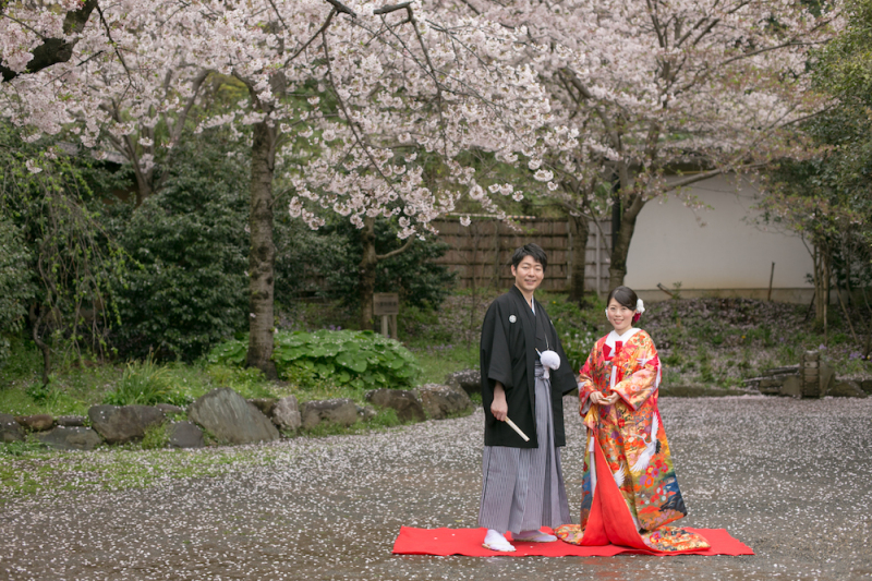 フォーマル撮影！