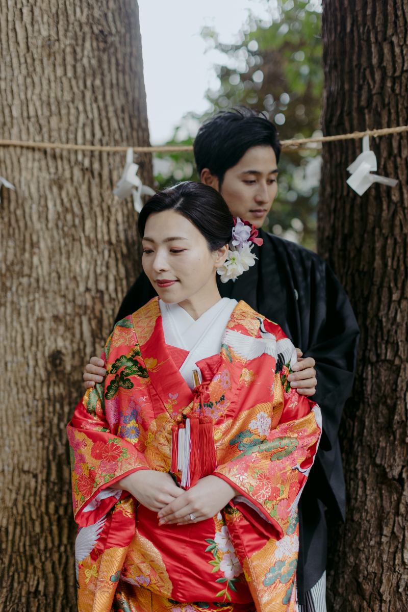 木と木の間を通って・・