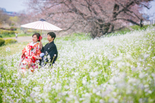 桜と白い花の中で