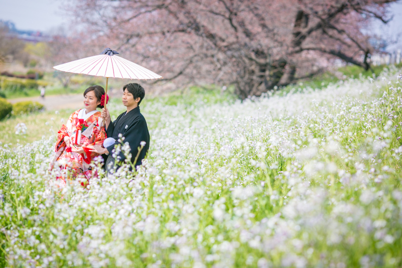 桜と白い花の中で