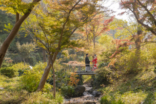 和装　紅葉フォトウェディング☆