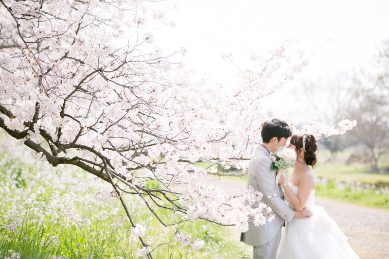 桜越しショット