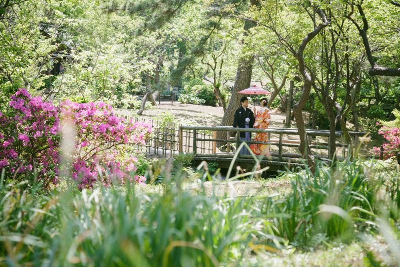 新緑の三渓園＊＊