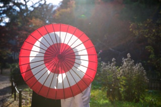 掛け替えで楽しさ２倍♪