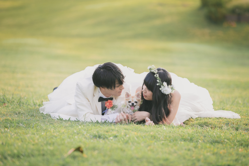 はさまれちゃった