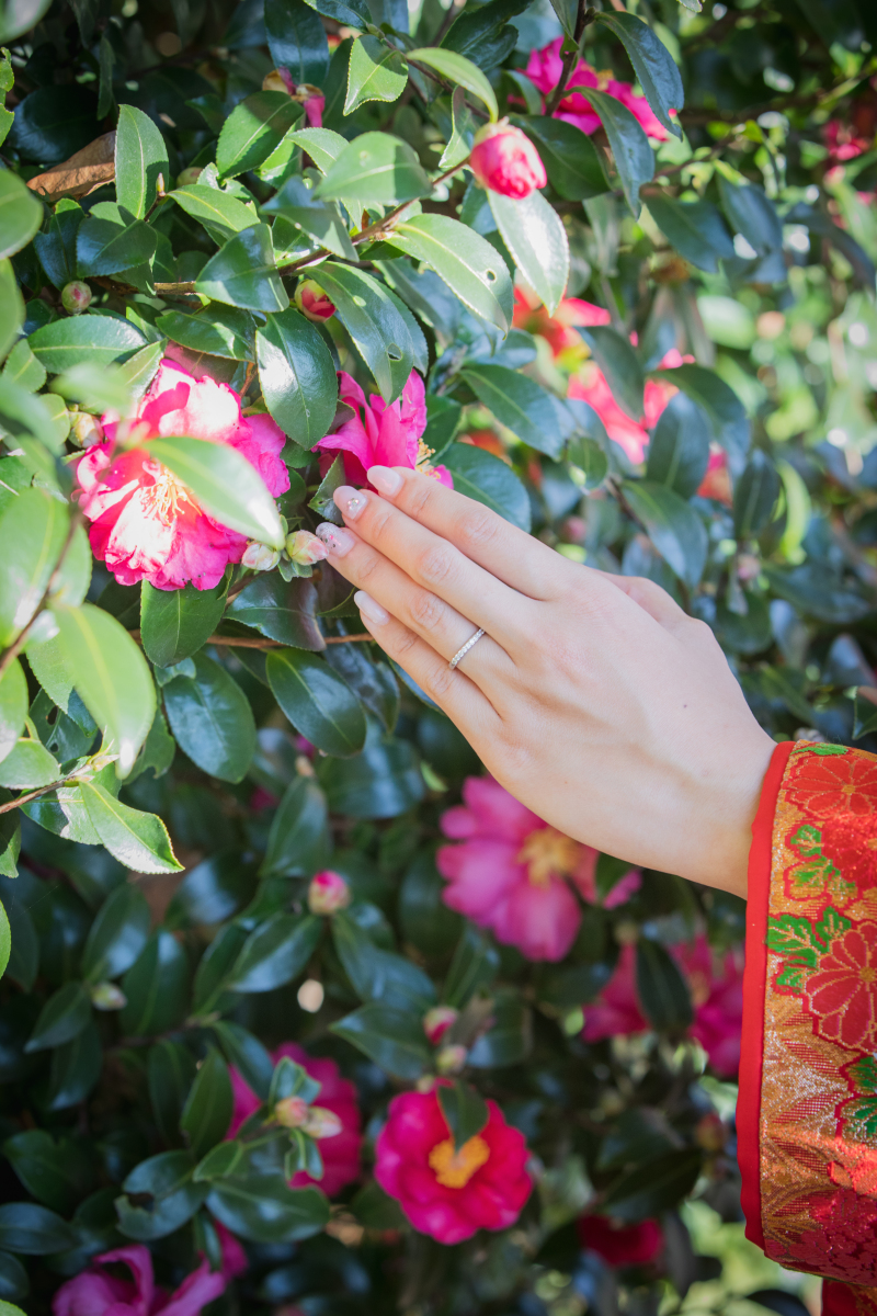 お手元ショット
